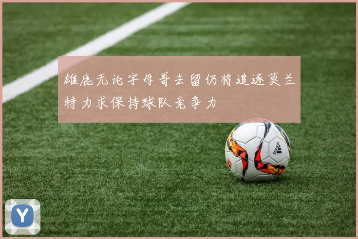 雄鹿无论字母哥去留仍将追逐莫兰特力求保持球队竞争力
