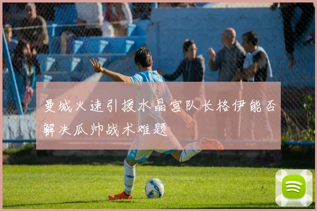 曼城火速引援水晶宫队长格伊能否解决瓜帅战术难题