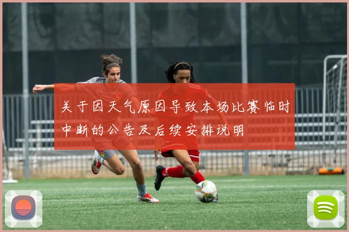 关于因天气原因导致本场比赛临时中断的公告及后续安排说明